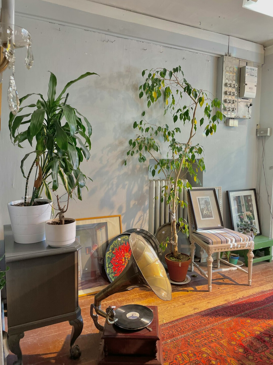 Bright creative studio interior with editing desks and plants